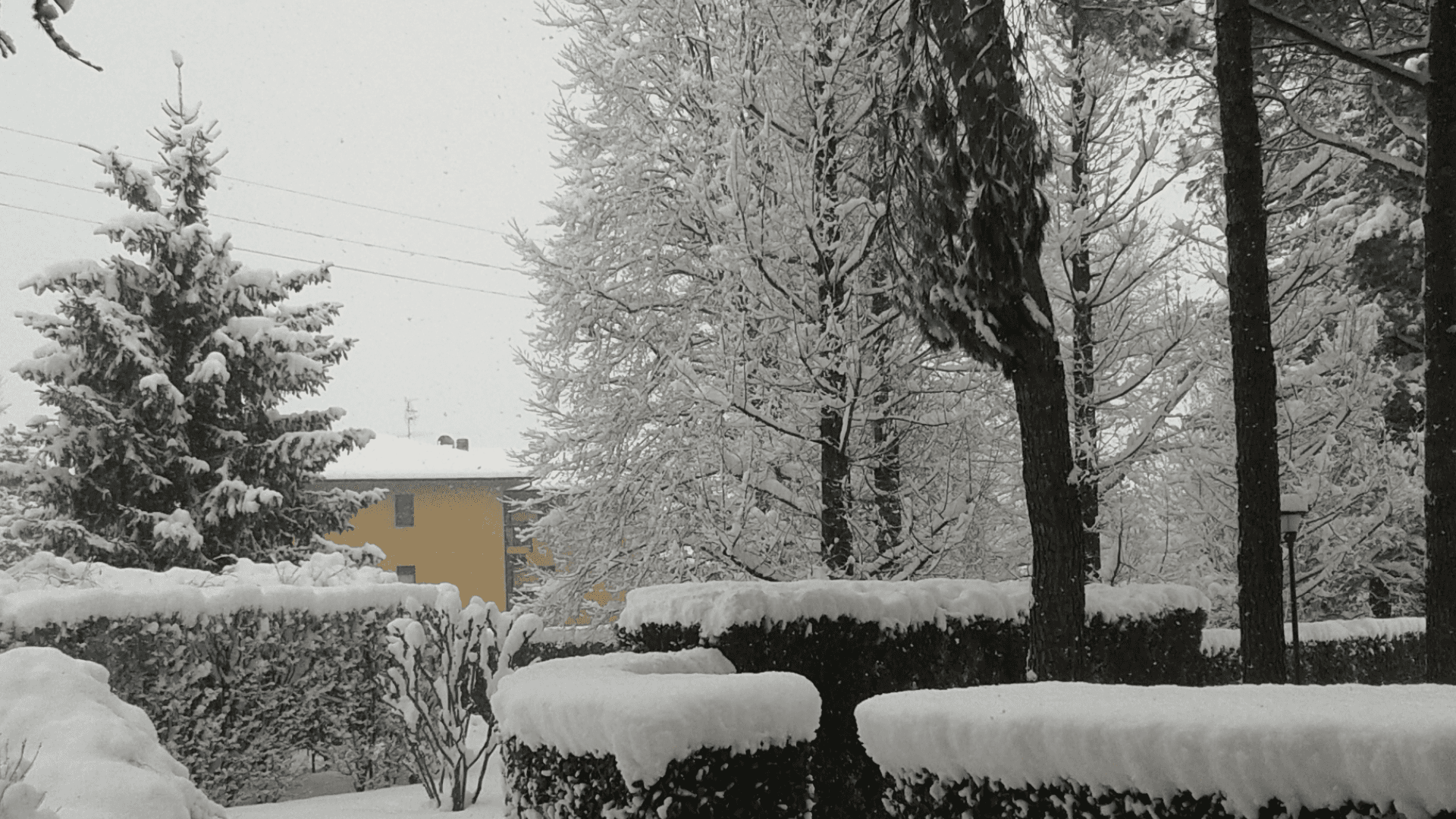 RSA Casa di Riposo Oasi Domenicana